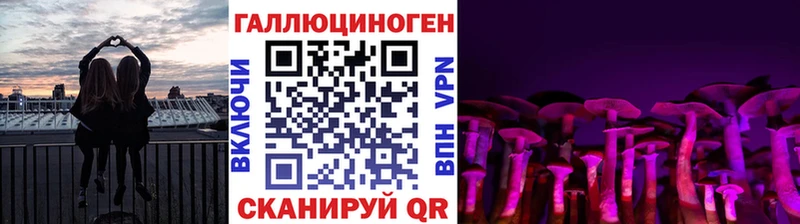 Псилоцибиновые грибы Psilocybine cubensis  купить  сайты  Нягань 